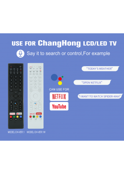 Пульти для телевізорів Універсальний пульт для CHANGHONG CHG-V1 з мікрофоном картинка